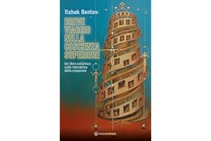 Breve viaggio nella coscienza superiore. Un libro co(s)mico sulla meccanica della creazione