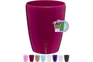 Santino Dzbanek do storczyków D 12 cm z systemem knotów i wskaźnikiem poziomu wody do wnętrz, fioletowa, 1,3 l