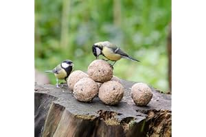 Fågelmat talgbollar med insekter 6-pack