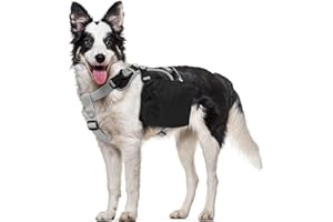 OUOBOB Hundegeschirr mit Rucksack (Abnehmbar) - Wasserdichter Wanderrucksack für Mittel/Große Hunde - Atmungsaktives Mesh, Verstellbar & Robust - Ideal für Labrador, Schäferhund, Camping & Reisen