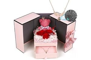homicozy Konservierte Rose Geschenke Set enthält 925 Sterling Silber Halskette mit Ich Liebe Dich in 100 Sprachen, für Jahrestag Valentinstag Geburtstag Weihnachten, für Sie, Frau, Freundin