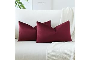 JOTOM Set of 2 Velvet Soft Solid Cushion Covers 30x50 cm Decorative Throw Pillow Covers Soft Lumbar Cushion Case Couch Home Decor Throw Pillow Cases for Sofa Bedroom 12x20 Inch (Wine Red)