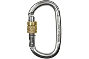 Climbing Technology Pillar Steel SG, moschettone ghiera Unisex-Adulto, Argento, Unica