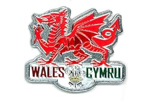 ELGATE WELSH DRAGON METALLIC FRIDGE MAGNET - GREAT SOUVENIR GIFT FROM WALES CYMRU -7607