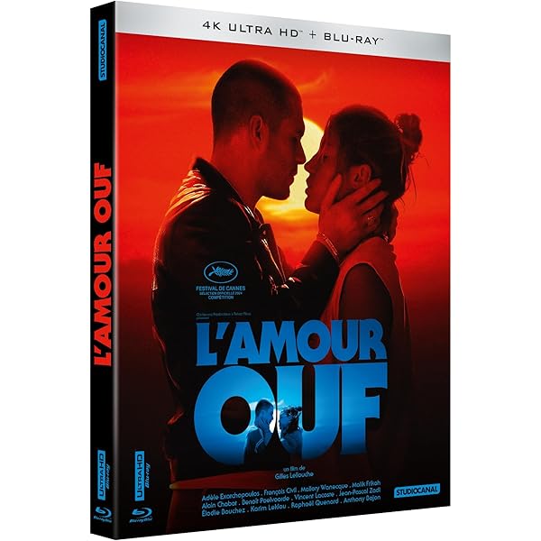 その他 De Rouille Et D&#39;Os その他 De Rouille Et D'Os Amazon.co.jp: De Rouille et d'os : DVD