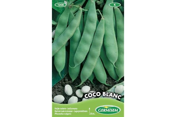Germisem Coco Blanc Graines de Haricots Français 100 g EC1208 Multicolore