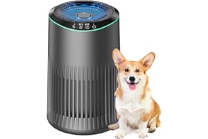 MERONTE Air Purifiers for Home, Air Purifier for Smoke Pet Dander Odors with Fragrance Sponge, Small Air Purifier with Sleep Mode for Bedroom Office, Blue Ambient Light, MR2566, Grey, 1 Pack+3 Modes