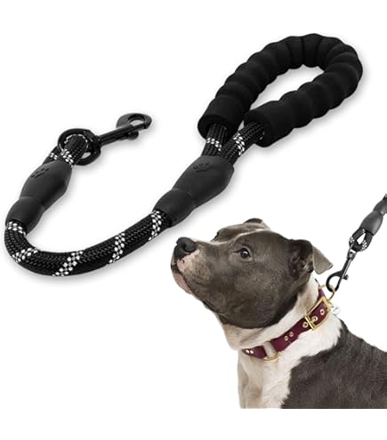 Two Dog Leash No Tangle Mighty Paw Double Dog Lead No Tangle