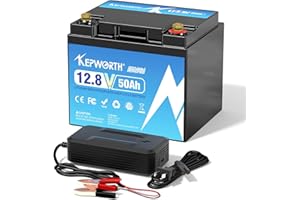 KEPWORTH Batteria al litio LiFePO4 12V 50Ah con Protezione 50A BMS a Bassa Temperatura e 4000+ cicli, Batteria da 640Wh per Camper, Barca, Casa, Kit di Pannelli Solari, Campeggio, Fotovoltaico