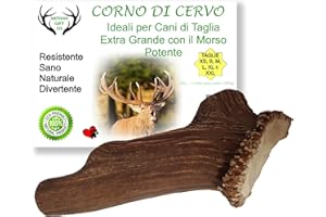 ARTISAN GIFT CO Corno di Cervo per Cani, Osso per cani da Masticare 100% Naturale, peso minimo dell'unità 295gr. (XXL - 1 pz.)