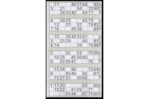 THOMAS & ANCA CLUB SUPPLIES LTD 600 Bingo Tickets - Pad of Grey 6 to View Flyers
