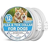 Collari Antipulci per Cani, Collare Antipulci Regolabili da 63,5 cm per Cani, Collari Antipulci e Zecche Impermeabili per Can