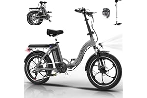 HITWAY BK6SL Vélo électrique 20 * 3,0 Pouces E Bike, Batterie 36V/13Ah, 50-100KM, Moteur 250W, Transmission 7 Vitesses, Cadre Aluminium Vélo Pliable