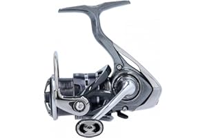 DAIWA 20 Exceler LT Spinning Fishing Reel, Frontdrag