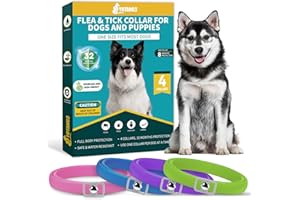 YOTANGO Collare Antiparassitario per Cani, 4 Pezzi Naturale Collare Antipulci Cane, Collare Cane Antiparassitario, 32 Mesi di Protezione Antizecche per Tutti i Tipi di Canii, Rosa, Blu, Viola, Verde