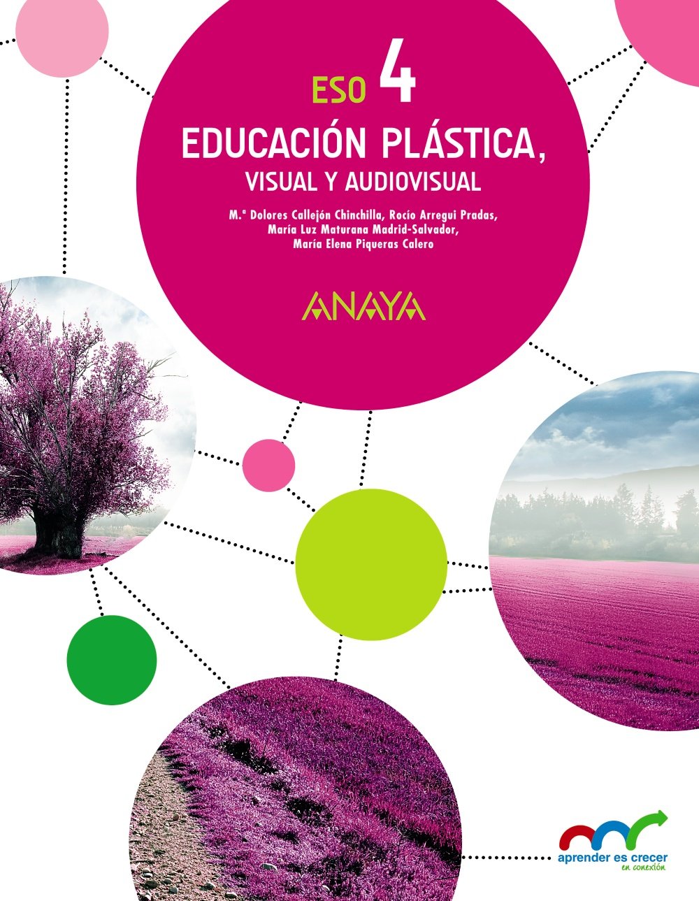 Educación Plástica, Visual y Audiovisual 4