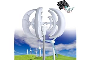 SAIYERUS Wind Turbine Generator Kit, 12000W 12V/24V/48V Vertical Wind Turbine Electricity Set, 5 Blade Horizontal Wind Power Generator Kit for Home, Boat, Marine, Monitoring, Street Lighting,White-24V