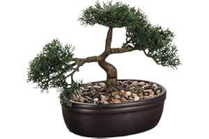 ATMOSPHERA CREATEUR D'INTERIEUR Atmosphera - Bonsaï Artificiel - Pot en céramique - H23 cm
