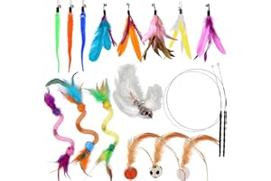 Fantspati Plumeau Chat Jouets, Interieur 17pcs Comprenant 2 Cannes à Pêche avec 1 Clochette, 8 Plumes de Rechange, 3 Corde Elastique à l'herbe, 3 Balles Rebondissantes avec Plumes Ensemble