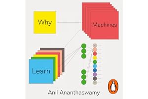 Why Machines Learn: The Elegant Maths Behind Modern AI