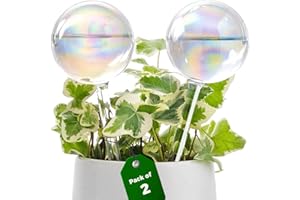 Bamworld Bewässerungskugeln 2er Set Automatische Pflanzenbewässerung für Indoor und Outdoor Pflanzen, Wasserspender für Topfpflanzen Gartenpflanzen, Handgeblasenes Regenbogenglas Bewässerungskugeln