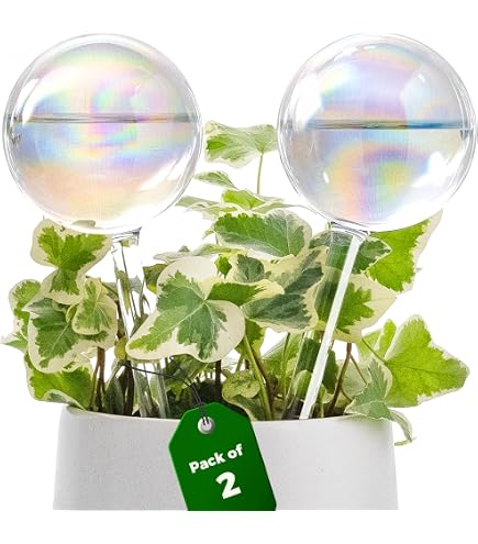 Geiserailie 8 Pièces Irrigation par Cône d'argile Boules d'Irrigation en Terre Cuite Aide à l'Arrosage des Plantes Irrigation pour Plantes d'Intérieur Distributeur d'eau en Céramique pour Plantes