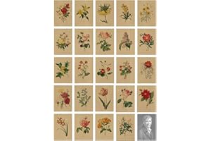 ZPPLD 30 Tarjetas postales,Hojas Postales, Postales Vintage, con bonito lenguaje floral impreso en papel de estraza, amor, amistad, vida, motivación, tarjetas de felicitación