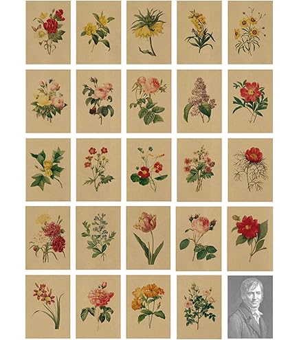 30 Tarjetas De Navidad Con 6 Diseños - Incluye Sobres Blancos Y N 1223008