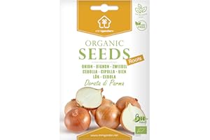 Oignon "Dorata di Parma", Graines certifiées biologiques prêt à Pousser Minigarden, 100% Naturelles sans Propagateurs Chimiques ni Génie Génétique, inclut entre 200 et 250 graines