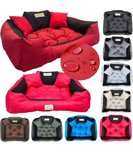 Divano Letto Rialzato Per Cani MEWOOFUN – 61x53x28cm, Traspirante E Lavabile, Per Piccola E Media Taglia