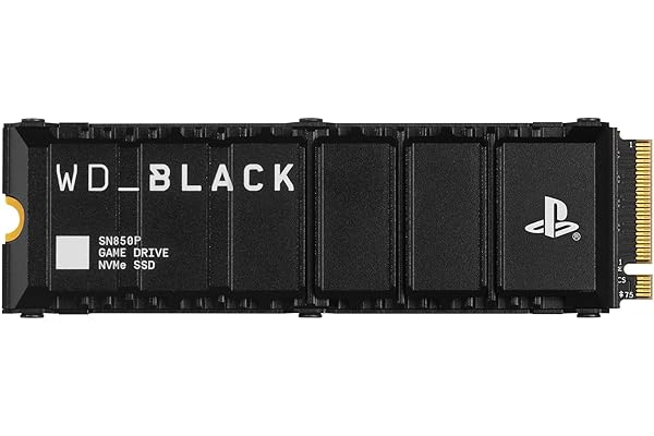 Sandisk Disque SSD WD Black SN850P 1TB M.2 PCIe 4.0 NVMe