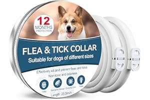 PAISTELY Collar Antiparasitario Perros, Seguro y Eficaz Collares Antiparasitos Perros, 12 Meses de Eficacia Collar Antipulgas Perros de 65 cm para Perros Pequeños, Medianos y Grandes (25.5 Inch -2pack)