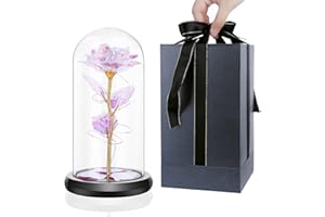 Wothfav Rosa Eterna, Rosa Bella y Bestia, Cúpula de Cristal con Luces LED, Rosa Eterna Natural Preservada, Rosas Eternas para Día de la Madre, San Valentín y Navidad, Regalos para la Madre, Mujeres