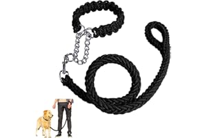 YANMUCY Corda per cani Set di collare per guinzaglio intrecciato per cani fili di piombo intrecciato Corda da addestramento per camminare per animali domestici per cani di taglia piccola e media