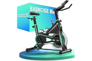 DMASUN Cyclette da Casa con Resistenza Regolabile, Bicicletta da Appartamento Silenziosa con Schermo LCD Migliorata, Sedile Comodo e Grande, Aerobica Domestica, Capacità Massima 160KG