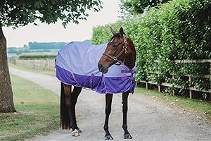 EQUITACK YOUR PASSION IS OUR MISSION Equitack 600D Lightweight Turnout Horse Rug | Regular Neck | Waterproof Rugs | Teflon Coated | 0g No Filling | Lavender/Purple 6ft 3