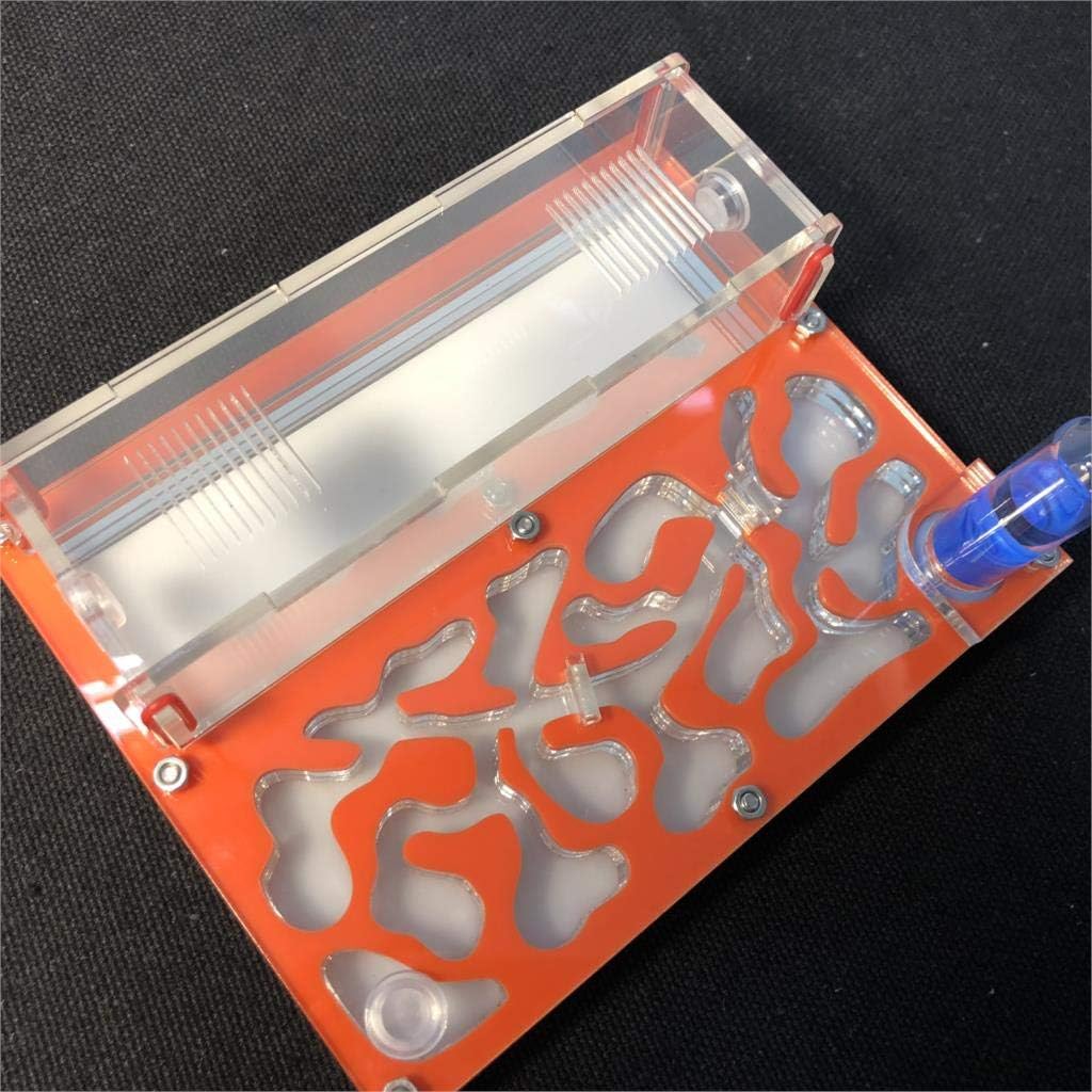 Ant Grape Formicarium Educativo para Granja de Hormigas para Tubo de ensayo de Hormigas Vivo Humedad Gran Espacio Nido de Hormigas de acrílico, Hormigas Insectos (Naranja)