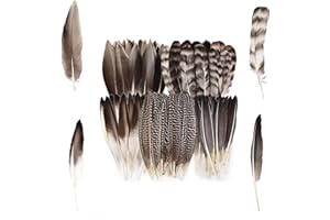 Cosmeria Piume da Artigianato, Piume Bianche di Alta qualità per Acchiappasogni E Progetti Creativi, Ideali per Decorazioni E Lavoretti per Tutte Le età