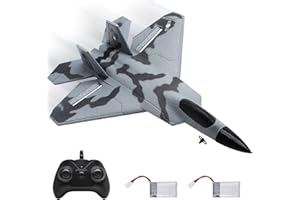 fisca 2.4 GHz Avion télécommandé, 2 CH F-22 RC Avion avec lumière, Planeur Avion Combattant modèle d'avion Avions Jouets d'extérieur pour débutants, Enfants et Adultes