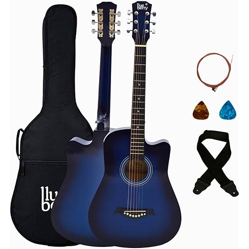 BLUEBERRY, B-38C Acoustic Guitar Kit with Bag, Strap, One Pack Strings And 2 Picks - 38 Inch (Blue)