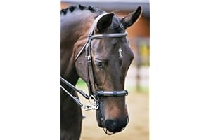 EQUILIBRIUM TECHNOLOGIES Equilibrium - Mascherina in rete per muso