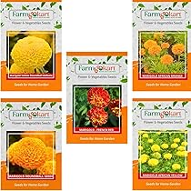 VIBEX-® XX-81-405-African Marigold Flower Seeds : Amazon.in