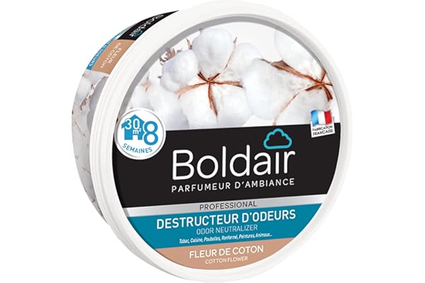 ✅ BOLDAIR - Destructeur d