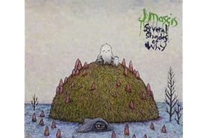 Several Shades of Why