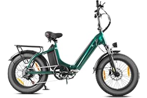 E Bike Klapprad 20 Zoll Elektrofahrräder，E-Faltrad Damen und Herren, 48V 18A*2 Doppelbatterien|250W Heckmotor & 25km/h, Hydraulische Bremse, Tiefeinsteiger E-City Bike/Falt-Pedelec für Erwachsene