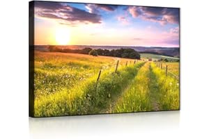 lightbox multicolor | Wandbild beleuchtet | Wunderschöne Bergwiese im Sonnenaufgang | 80x60 cm | Front Lighted