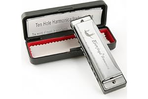 EVERJOYS Mundharmonika 10 Loch - Blues Harp Diatonische Mundharmonika mit Etui, Poliertuch, Anleitung, für Erwachsene, Anfänger und Schüler
