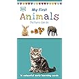 My First Animals: 16 colourful early learning cards