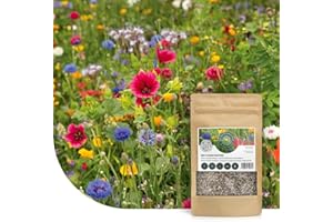 MRS SEEDS & MIXTURES Mélange de fleurs pour prairie d’abeilles - 50 g pour 25 m² - Graines de fleurs multicolores annuelles et vivaces - Source naturelle de nourriture pour abeilles, bourdons et papillons