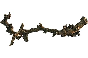 Lucky Reptile DLD-K Vite Scuro, Piccolo